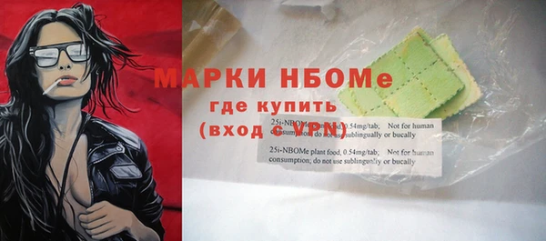 амф Козельск