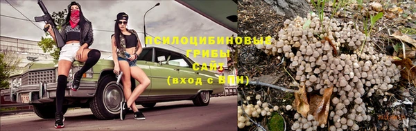 амф Козельск