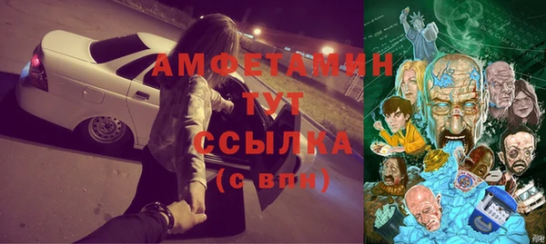 амф Козельск
