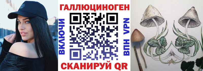 Псилоцибиновые грибы прущие грибы  Купить закладки  Галич 